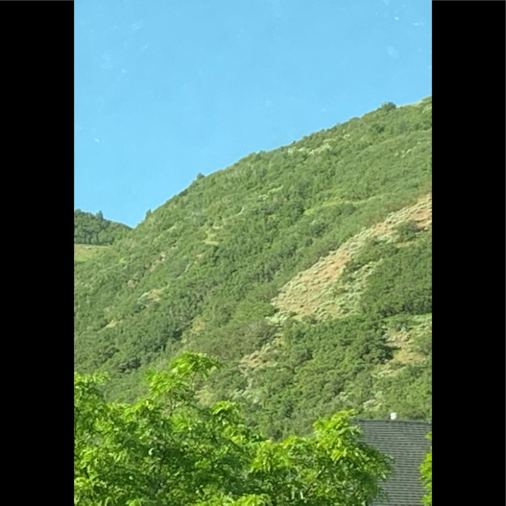 Meet your Posher, Alexus